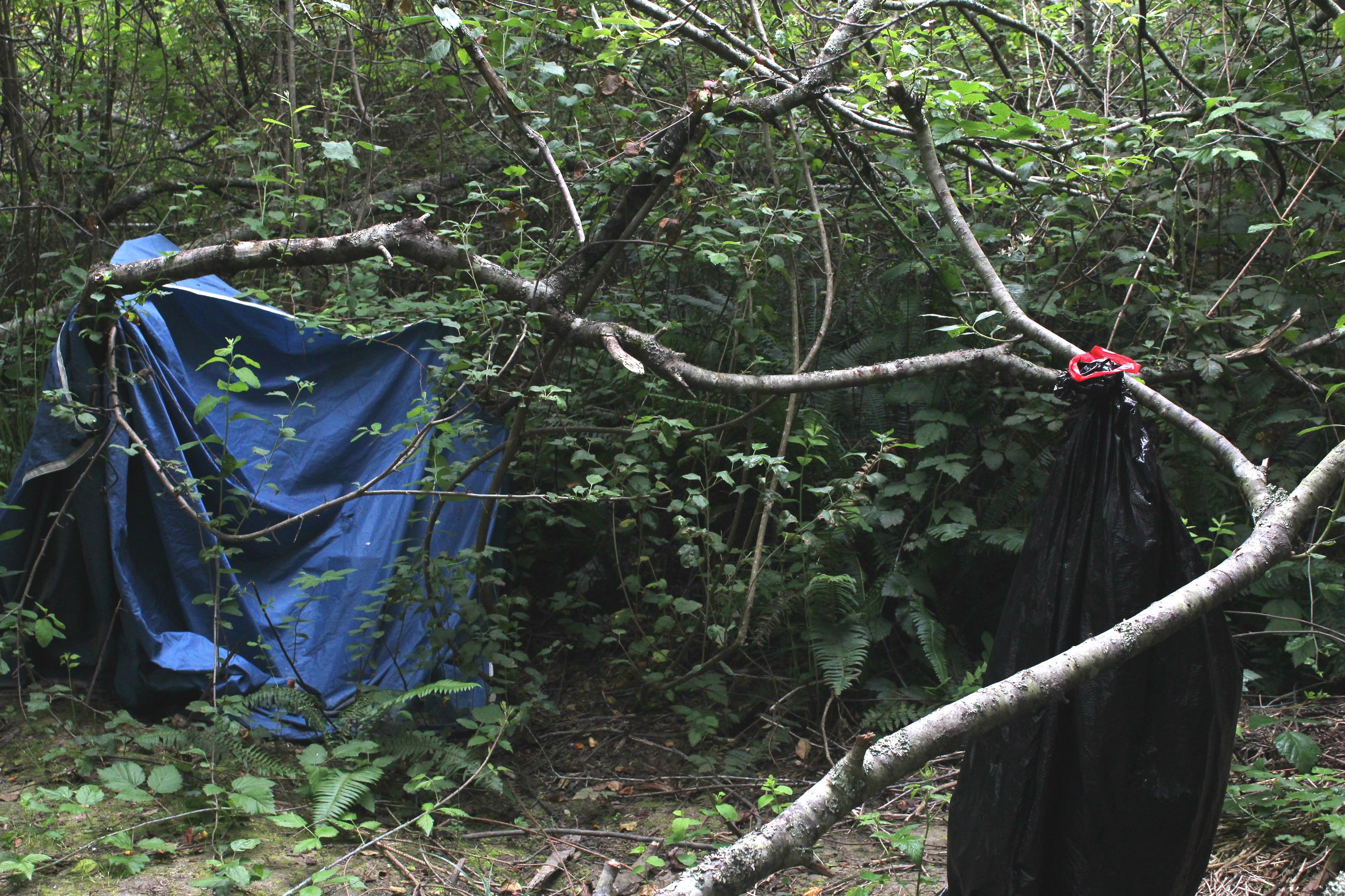 Central Avenue Camp #1